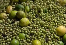 Load image into Gallery viewer, Chimichurri Verde Fused Olive Oil - SPICY!