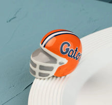 Load image into Gallery viewer, university of florida helmet