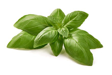 Load image into Gallery viewer, Basil Infused Olive Oil