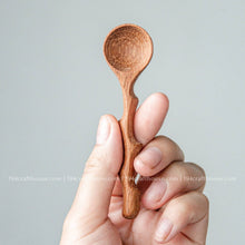 Load image into Gallery viewer, Branch Tree Wooden Spices Small Spoons - Measuring Spoons