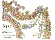 Load image into Gallery viewer, IOD The Botanist Transfer Set