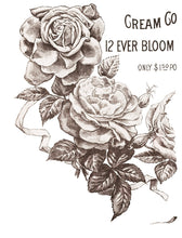 Load image into Gallery viewer, IOD May’s Roses Transfer Set
