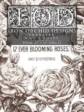 Load image into Gallery viewer, IOD May’s Roses Transfer Set