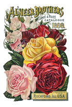 Load image into Gallery viewer, IOD Seed Catalogue Transfer Set