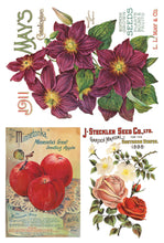 Load image into Gallery viewer, IOD Seed Catalogue Transfer Set
