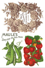 Load image into Gallery viewer, IOD Seed Catalogue Transfer Set