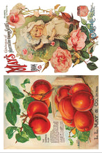 Load image into Gallery viewer, IOD Seed Catalogue Transfer Set