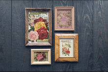 Load image into Gallery viewer, IOD Seed Catalogue Transfer Set