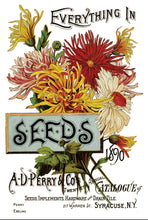 Load image into Gallery viewer, IOD Seed Catalogue Transfer Set