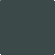Load image into Gallery viewer, One Hour Enamel Paint