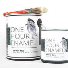 Load image into Gallery viewer, One Hour Enamel Paint
