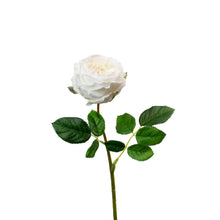Load image into Gallery viewer, REAL TOUCH WHITE 17" ENGLISH ROSE