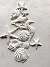 Load image into Gallery viewer, Sea Shells 6 x 10 IOD Decor Moulds