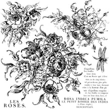 Load image into Gallery viewer, IOD Rose Toile 12 x 12 Stamp