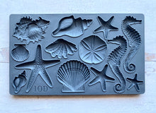 Load image into Gallery viewer, Sea Shells 6 x 10 IOD Decor Moulds