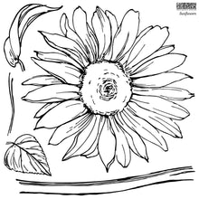 Load image into Gallery viewer, IOD Sunflowers Stamp 2 sheet set