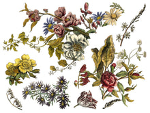 Load image into Gallery viewer, IOD Floral Anthology Transfer