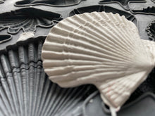 Load image into Gallery viewer, Sea Shells 6 x 10 IOD Decor Moulds