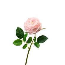 Load image into Gallery viewer, REAL TOUCH LIGHT PINK 17" ENGLISH ROSE