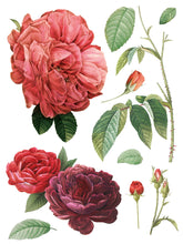 Load image into Gallery viewer, IOD Redoute II Floral Transfer