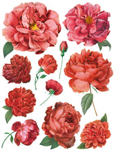 Load image into Gallery viewer, IOD Redoute II Floral Transfer