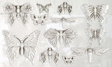 Load image into Gallery viewer, Monarch 6 x 10 IOD Decor Moulds
