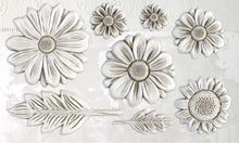 Load image into Gallery viewer, He Loves Me 6x10 IOD Decor Mould