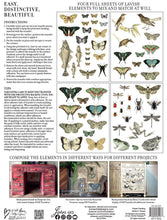 Load image into Gallery viewer, IOD Entomology Transfers