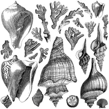Load image into Gallery viewer, Seashore 12 x 12 IOD Decor Stamps