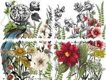 Load image into Gallery viewer, Midnight Garden IOD Transfer 12 x 16 Pad