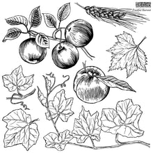 Load image into Gallery viewer, Fruitful Harvest IOD Decor Stamps