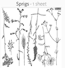 Load image into Gallery viewer, IOD Sprigs Stamp