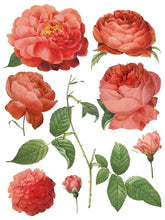 Load image into Gallery viewer, IOD Redoute II Floral Transfer