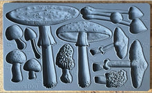 Load image into Gallery viewer, IOD Toadstool Mushroom Mould