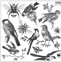 Load image into Gallery viewer, IOD Birds and Bees Stamp