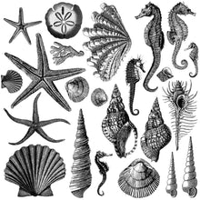 Load image into Gallery viewer, Seashore 12 x 12 IOD Decor Stamps