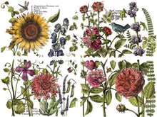 Load image into Gallery viewer, Botanist’s Journal IOD Transfer 12 x 16 Pad